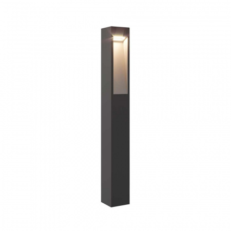 RSC FLESH TM2-1000-20 – №1