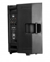 Echo Acoustic EX115P